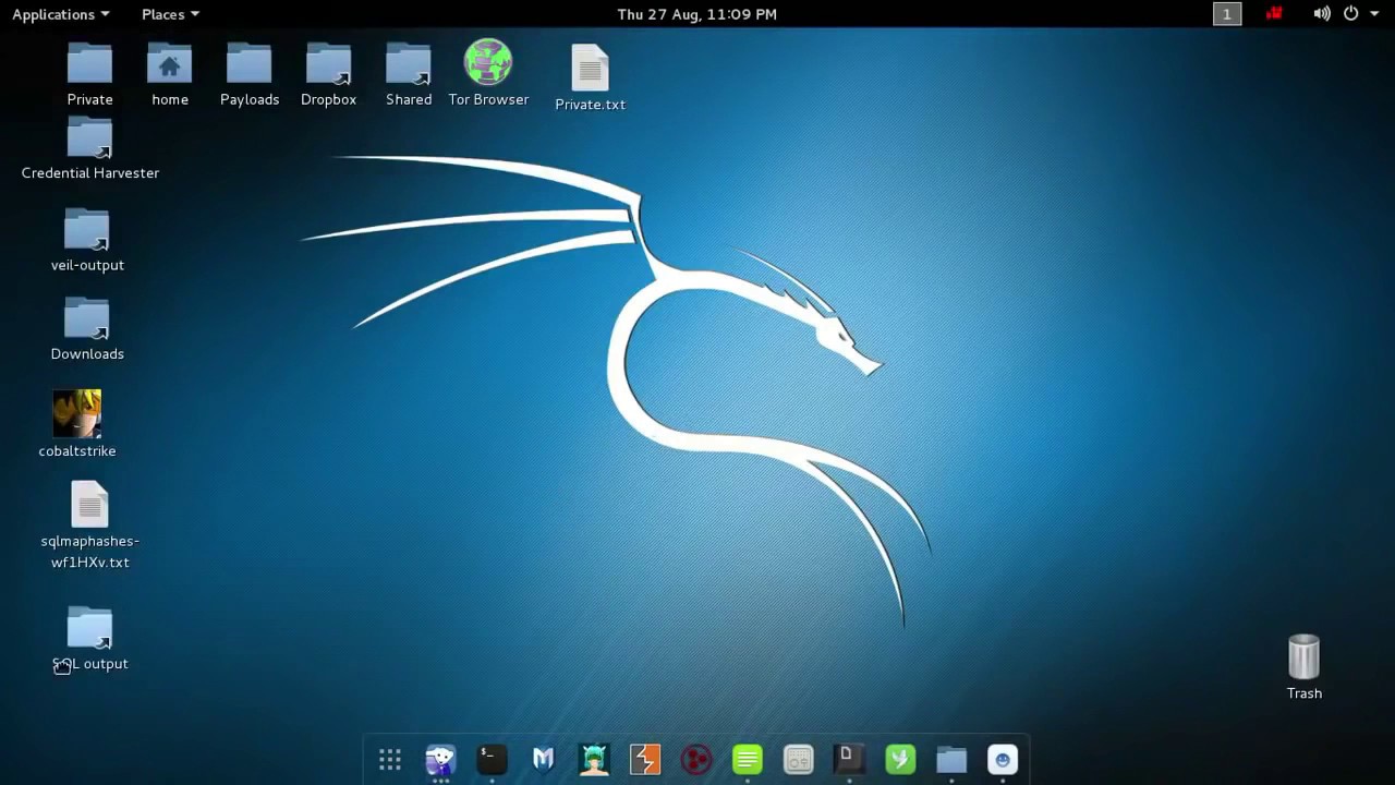 kali linux apk for android